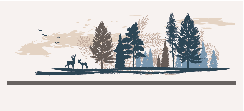 Capture d’écran 2025-11-04 150844