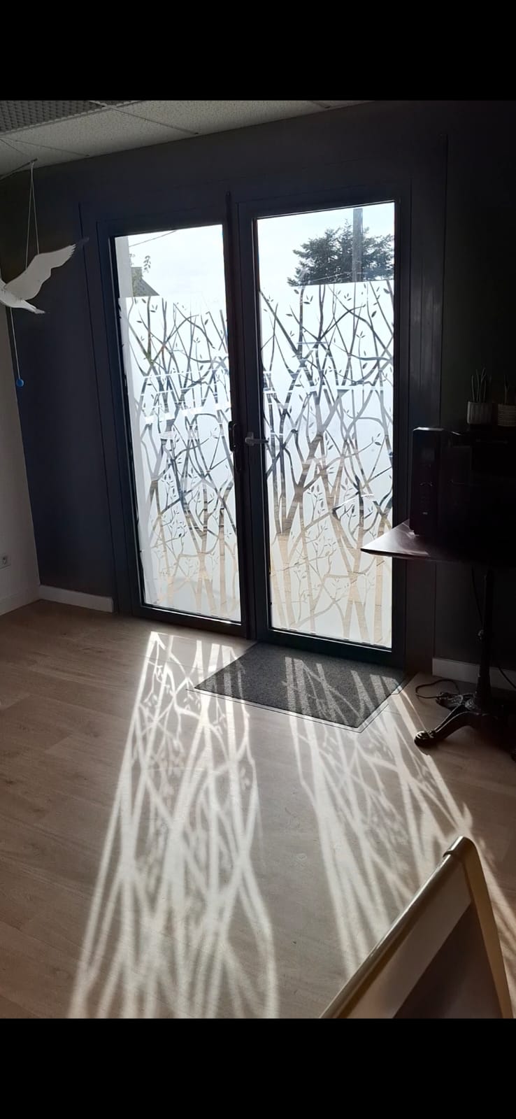 WhatsApp Image 2025-11-05 at 12.29.15 Photo du soleil se reflétant dans une vitrophanie