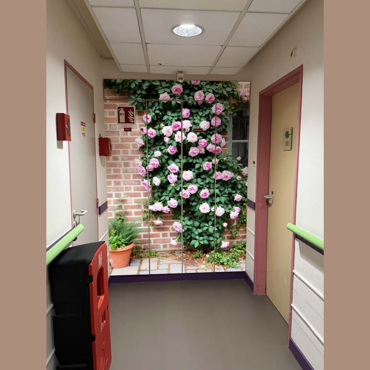 Habillage adhésif mural en trompe-l'œil représentant un jardin de roses en fin de couloir d'établissement.